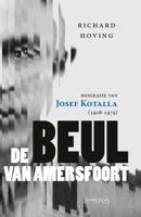 De Beul van Amersfoort - Richard Hoving - eBook (9789044637243)