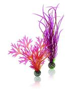 biOrb Plant Set M rood en roze