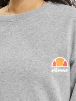 Ellesse / trui Haverford in grijs