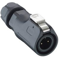 Lumberg 0250 07 Ronde connector Stekker, recht Totaal aantal polen: 7 1 stuk(s)