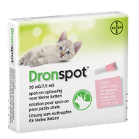 Dronspot Dronspot  Cat