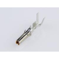 MINIFIT 39000428 Molex Inhoud: 1 stuk(s) - thumbnail