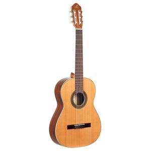 Ortega R220 Traditional Series klassieke gitaar met gigbag