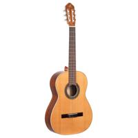 Ortega R220 Traditional Series klassieke gitaar met gigbag