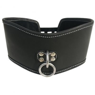 Sportsheets - Edge Soft Leather Posture Collar