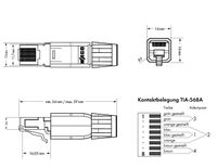 WAGO RJ45-connector IP20 - CAT5e 750-975 Stekker, recht Aantal polen: 8P8C Grijs 1 stuk(s) - thumbnail