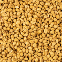 pinda's indisch gekruid 500 gram