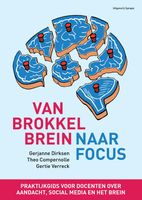 Van brokkelbrein naar focus - Gerjanne Dirksen, Gertie Verreck, Theo Compernolle - ebook - thumbnail