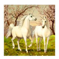 Toi Toys diamond painting Paard junior 30 cm canvas wit
