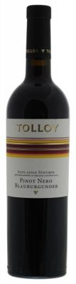 Tolloy Pinot Nero