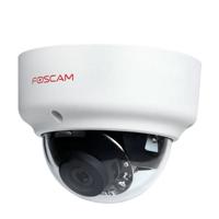 Foscam D2EP bewakingscamera IP-beveiligingscamera Binnen & buiten Dome 1920 x 1080 Pixels Plafond/muur
