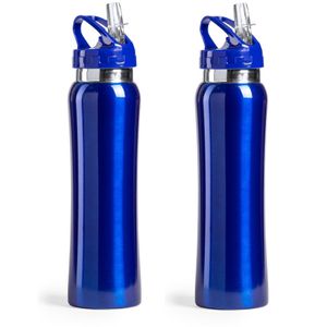 Set van 2x stuks luxe Drinkfles/waterfles 800 ml blauw van RVS