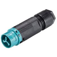 Wieland Electric 46.032.4551.6 Ronde connector Stekker, recht Totaal aantal polen: 2 Serie (ronde connectoren): RST® MINI 1 stuk(s)