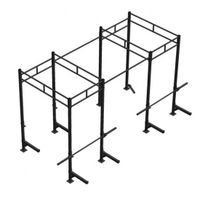 PTessentials Heavy Duty Crossfit Rig V10