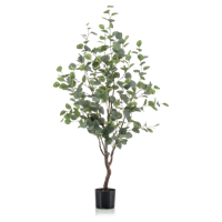 Wants&Needs Plants Kunstplant Eucalypthus
