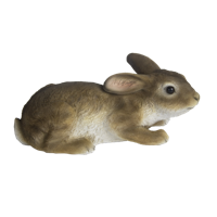 Esschert Design Konijn Liggend tuinbeeld (Afmetingen (3D): 101×102×234 mm)