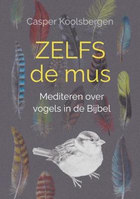 Zelfs de mus - Casper Koolsbergen - Paperback (9789464808247)