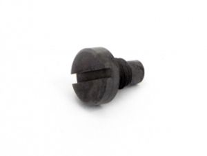 Screw for rotor guide (ss)