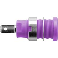 Schützinger DI SEB 6450 Ni / PVI Veiligheids-inbouwbus Violet 1 stuk(s)