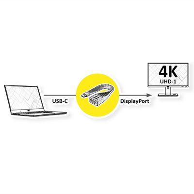 ROLINE Beeldschermadapter USB Type C - DP, M/F, 0,13 m