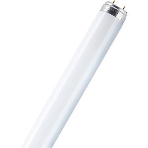 OSRAM TL-lamp Energielabel: G (A - G) G13 18 W Koudwit Buis (Ø x l) 25.5 mm x 604 mm 1 stuk(s)