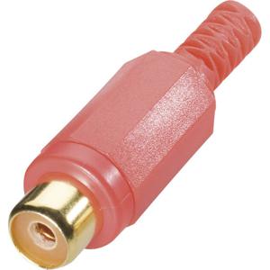 BKL Electronic 0105002/T Cinch-connector Bus, recht Aantal polen: 2 Rood 1 stuk(s)