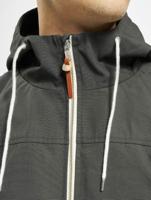 Revolution / Zomerjas 7351 in groen