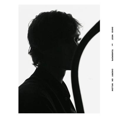 Cherry On Willow (Colour) - LP (5055869504911)