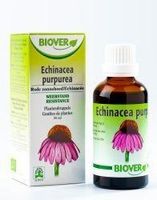 Echinapurpurea tinctuur bio