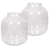 2x stuks ronde vaas helder glas 29 cm