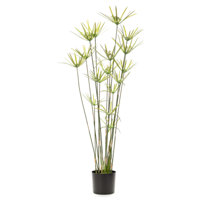 Wants&Needs Plants Kunstplant Cyperus Wants&Needs Plants Kunstplant Cyperus