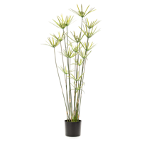 Wants&Needs Plants Kunstplant Cyperus