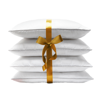 4-PACK: Silver Star Hoofdkussens