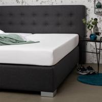 Presence Hoeslaken Percale Katoen Silver - Wit 100 x 210/220 cm