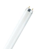 OSRAM TL-lamp Energielabel: G (A - G) G13 36 W Warmwit Buis (Ø x l) 26 mm x 1213.5 mm 1 stuk(s) - thumbnail