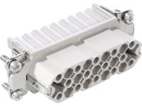 LAPP 11261000 Businzetstuk EPIC® H-D 25 Totaal aantal polen 25 + PE 5 stuk(s)