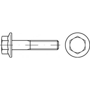 TOOLCRAFT TO-5391711 Zeskantbout M12 20 mm Buitenzeskant Staal Galvanisch verzinkt 100 stuk(s)