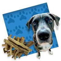 Petsnack Buffelstaart Met Huid