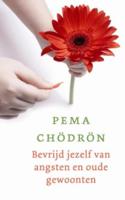 Bevrijd jezelf van angsten en oude gewoonten (Paperback)