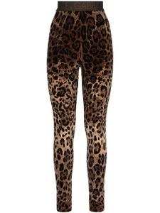 Dolce & Gabbana legging à imprimé léopard en jacquard - Marron