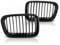 Tuning-Tec Grill BMW E46 05 98-08 01 ZWART MAT