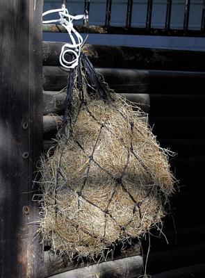 Harry's Horse Hooinet standaard