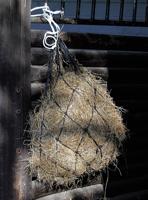 Harry's Horse Hooinet standaard