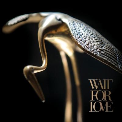 Wait For Love - LP (8714092754438)