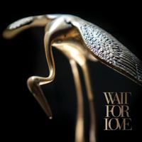 Wait For Love - LP (8714092754438)