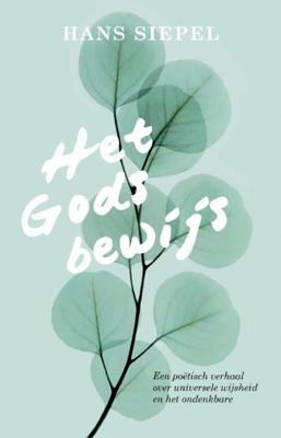 Het Godsbewijs - Hans Siepel - eBook (9789020214697)