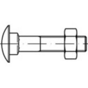 TOOLCRAFT 111431 Platbolschroef M10 170 mm Buitenzeskant DIN 603 Staal Galvanisch verzinkt 50 stuk(s)