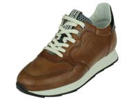 Floris Van Bommel Floris Sport