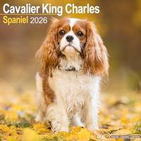 Cavalier King Charles Calendar 2026 Square Dog Breed Wall Calendar - 16 Month