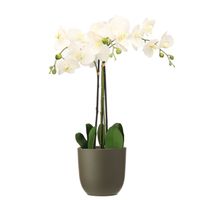 Orchidee kunstplant wit - 75 cm - inclusief bloempot olijfgroen mat